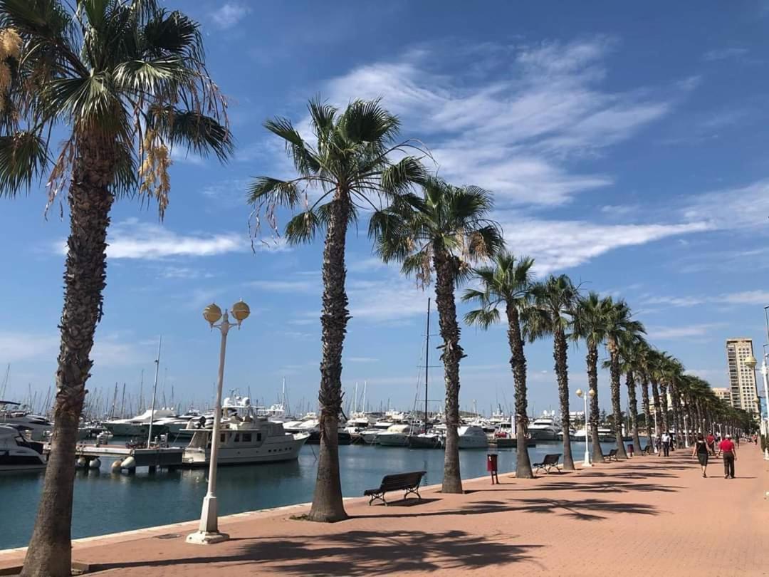 Casaturis Estudio Vistas Increibles En Centro De Alicante A115 Zewnętrze zdjęcie